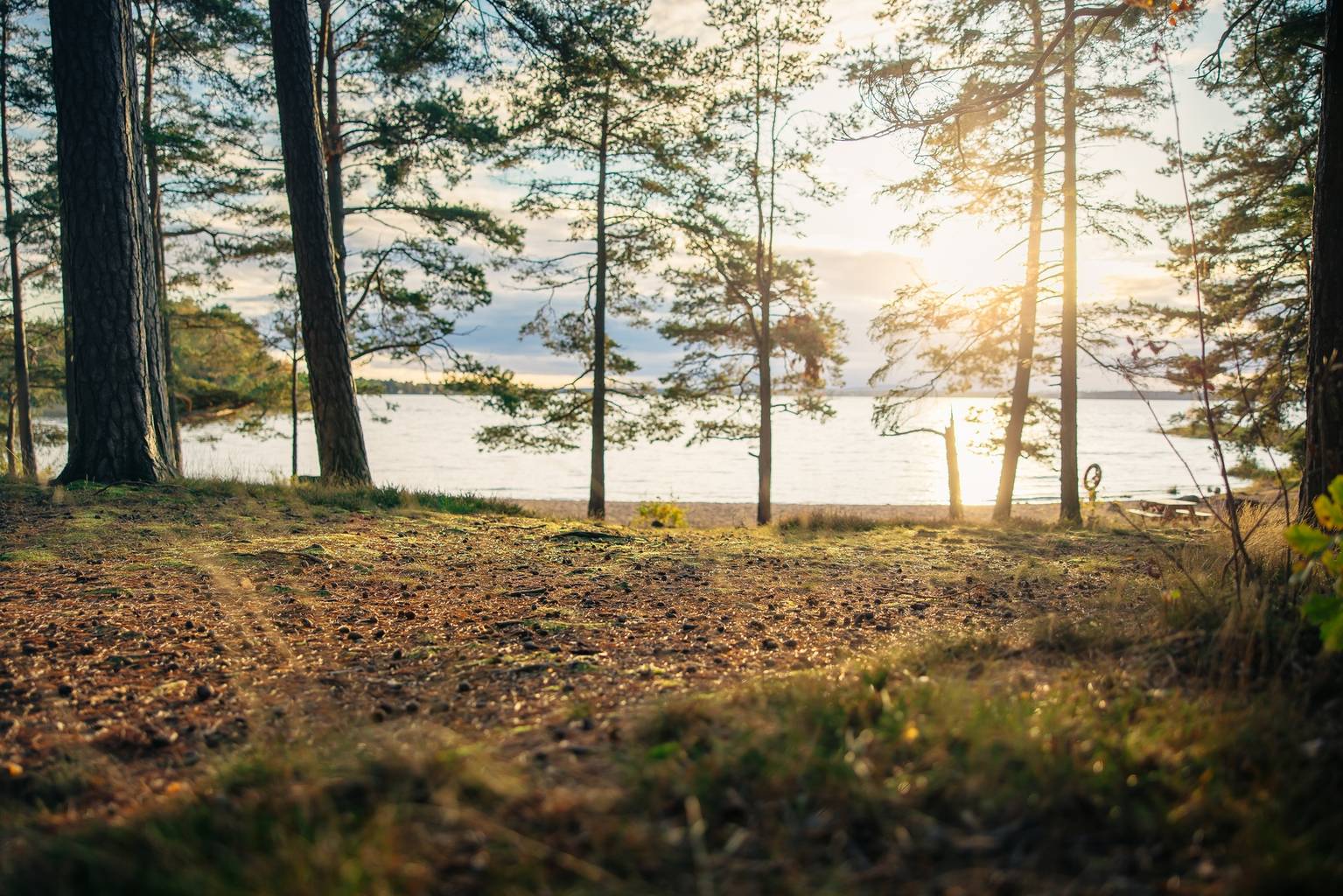 Lägenhet på Nyproducerade bostadsrätter i naturskönt läge med city inom räckhåll! Mariestads kommun - bild 8